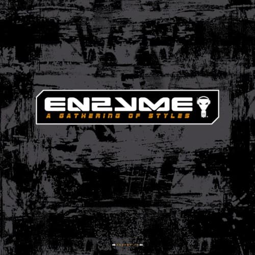 Various – A Gathering Of Styles
